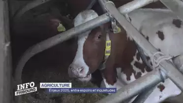 2025, une année à enjeux pour l&#039;agriculture