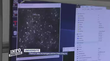 Retour des échanges entre chercheurs