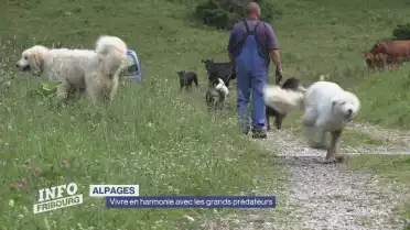 Découverte de l&#039;organisation OPPAL