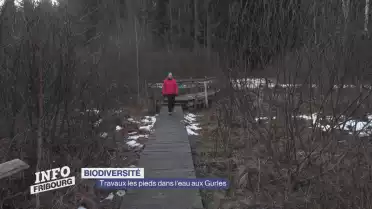 Travaux aux marais de Gurles