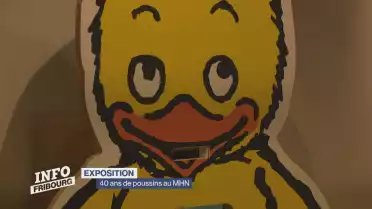 Les poussins sont de retour au MHN