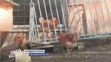 Quand les oeufs viennent à manquer à Pâques