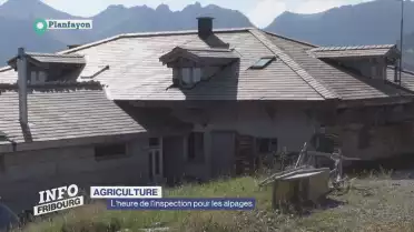 L&#039;heure de l&#039;inspection pour les alpages