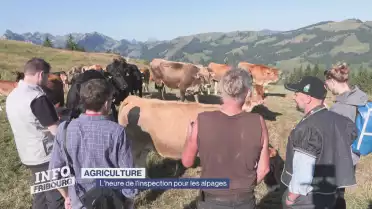 Journal du 9 juillet 2025