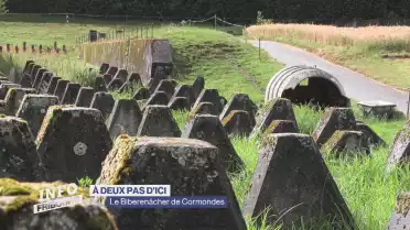 À deux pas d&#039;ici: le Biberenächer de Cormondes