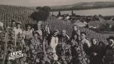 Le Vully trinque à ses étiquettes