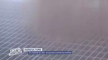 Du champ au silo : la course contre la montre