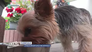 Journal du 11 août 2025