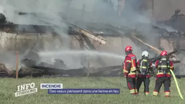 Des veaux périssent dans une ferme en feu