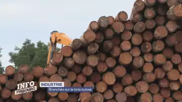 Branchés sur le bois suisse