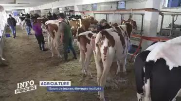Boom de jeunes éleveurs motivés