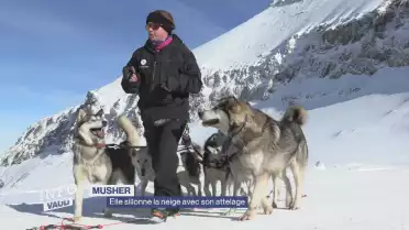 Sur la piste d&#039;une musher professionnelle