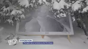 Plongée dans l&#039;ambiance de l&#039;Arctique