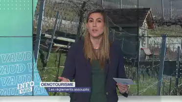 Les règlements assouplis pour développer l&#039;oenotourisme