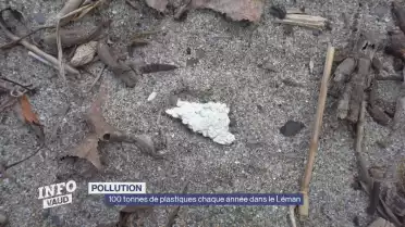 100 tonnes de plastiques dans le Léman tous les ans