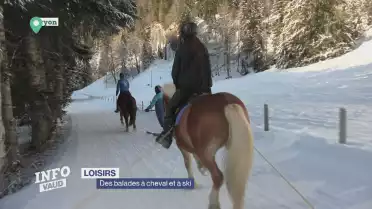 Ski joëring: des balades à cheval et à ski
