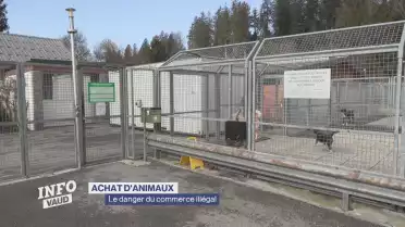 Journal du 18 février 2025