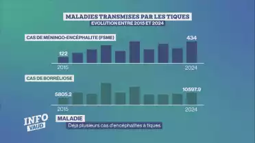 Déjà plusieurs cas d&#039;encéphalites à tiques