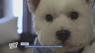 Journal du 4 mars 2025