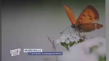 Bolle: 17 ans après, le passage de témoin