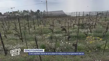 Les capites dans le brouillard malgré le changement de loi
