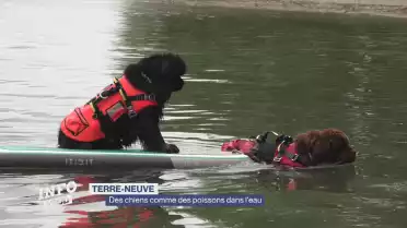 Journal du 6 mai 2025