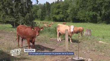 Un projet pour valoriser le grenier de la Suisse