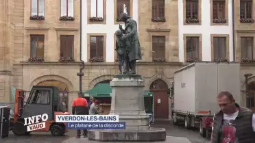 Un platane sème la discorde à Yverdon-les-Bains