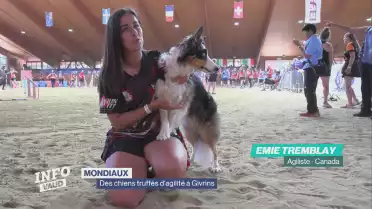 Des chiens truffés d&#039;agilité à Givrins