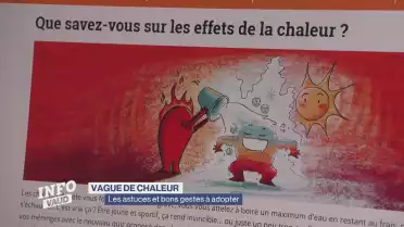 Vague de chaleur, les astuces et bons gestes à adopter