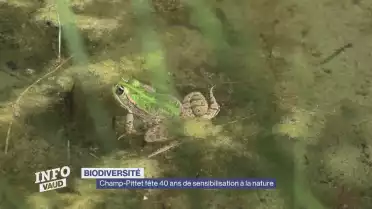 Champ-Pittet fête 40 ans de sensibilisation à la nature