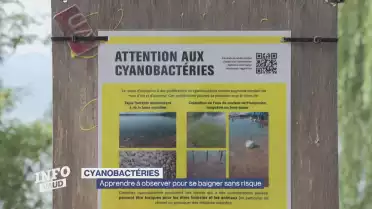La prévention face aux cyanobactéries