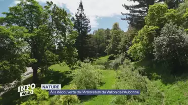 À la découverte de l&#039;Arboretum du Vallon de l&#039;Aubonne