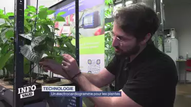 Une technologie pour comprendre les besoins des plantes