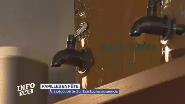 Papilles en fête - À la découverte d&#039;un kombucha lausannois