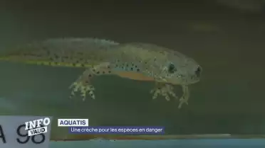 Une crèche pour les espèces en danger