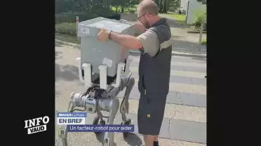 En bref, un facteur robot pour aider