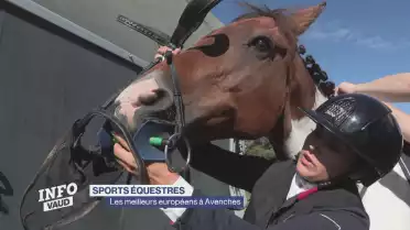 Hippisme: les meilleurs européens à Avenches
