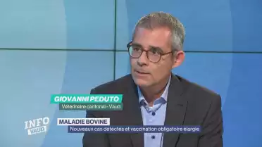 Dermatose bovine: Vaccination obligatoire élargie
