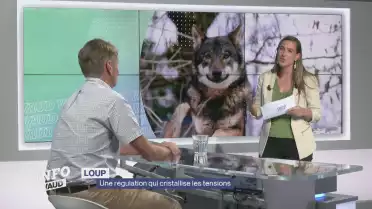 Journal du 11 septembre 2025