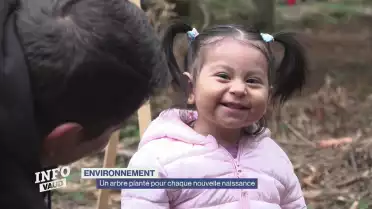 Un arbre planté pour chaque nouvelle naissance