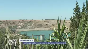 Journal du 8 octobre 2025