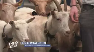 Foire de la St-Martin: entre traditions et nouveautés