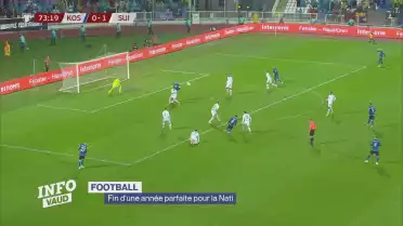 Football: fin d&#039;une année parfaite pour la Nati