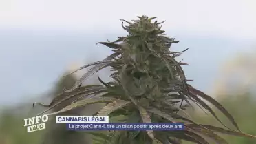 Le projet Cann-L tire un bilan positif après deux ans