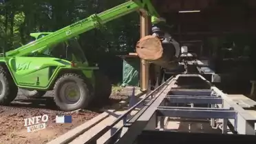 Trois millions pour les scieries vaudoises