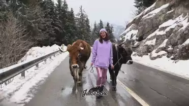 Edi Plop de Bibi Vaplan