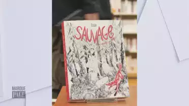 Sauvage ou la sagesse des pierres - Thomas Gilbert - Éd. 6 Pieds Sous Terre