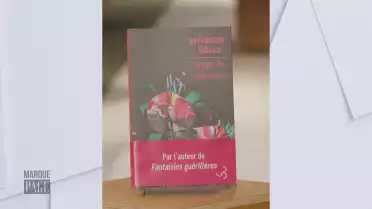 Ravagés de splendeur