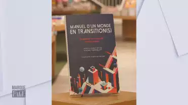 Manuel d&#039;un monde en transition(s)